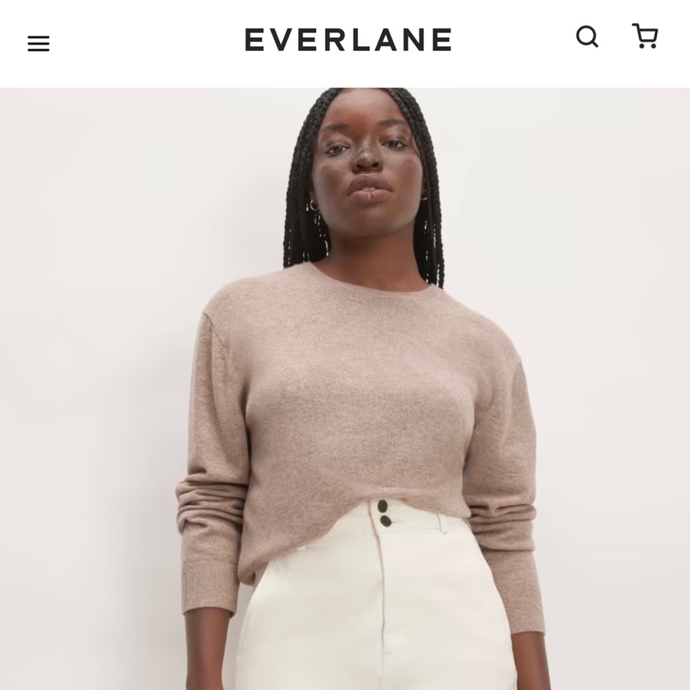 Everlane Cashmere Sweater